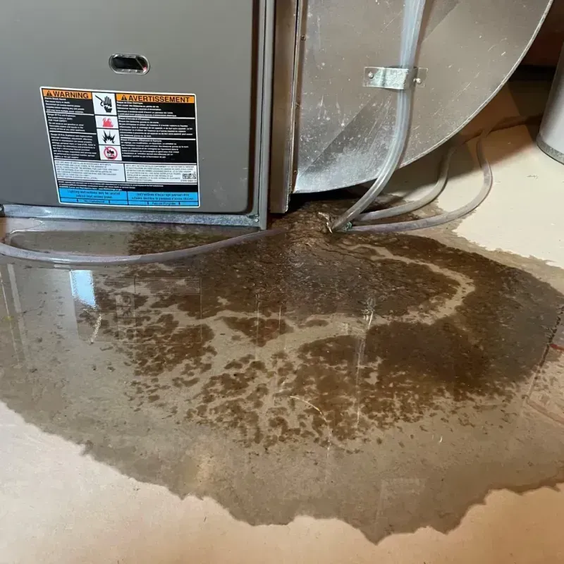 Appliance Leak Cleanup in Seffner, FL